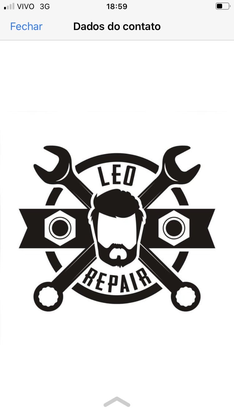 Leo Repair