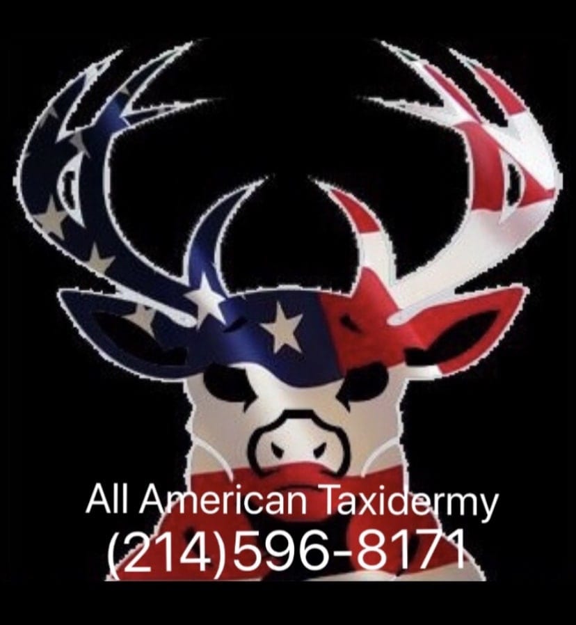 All American Taxidermy