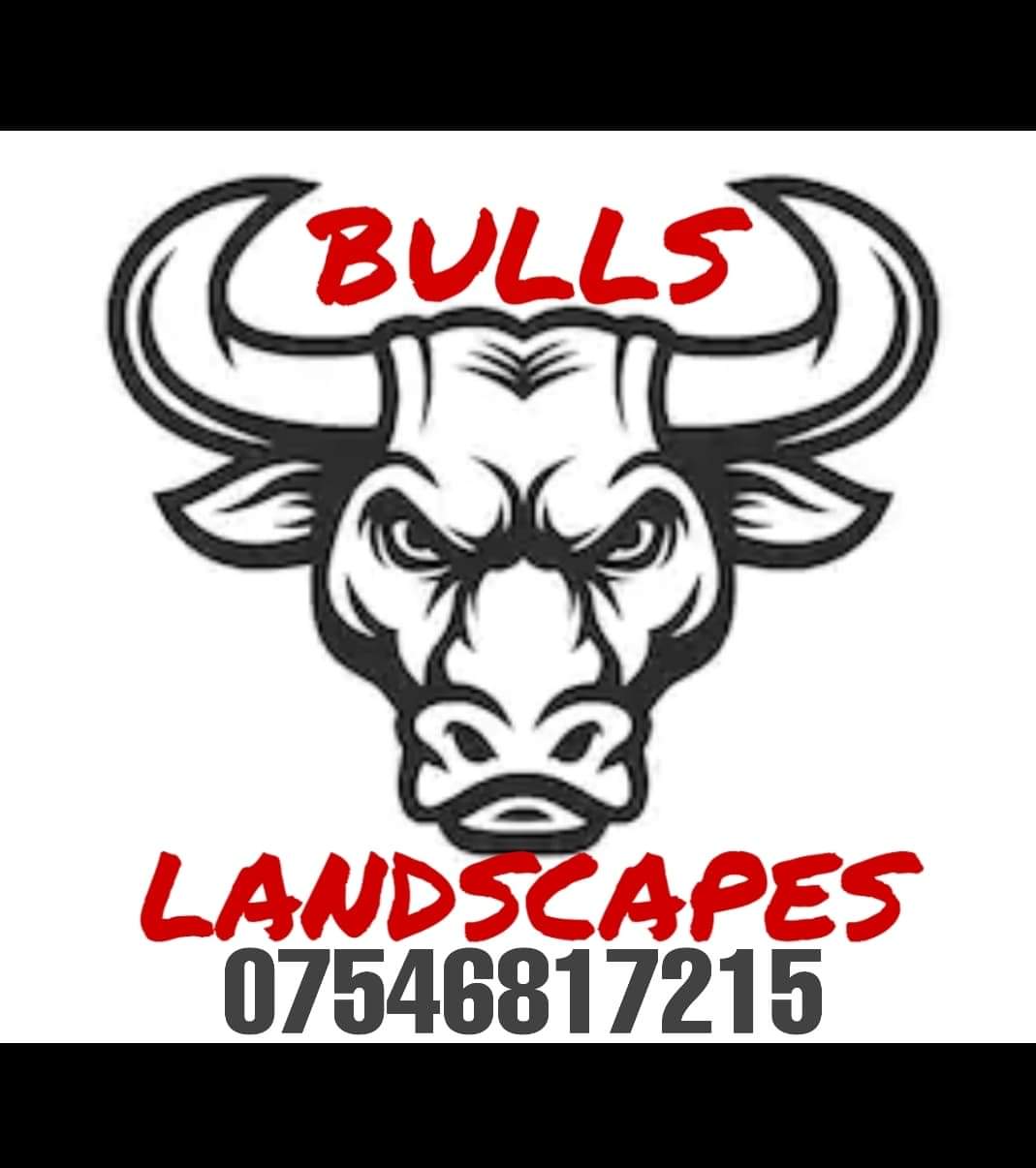 Bull Landscapes