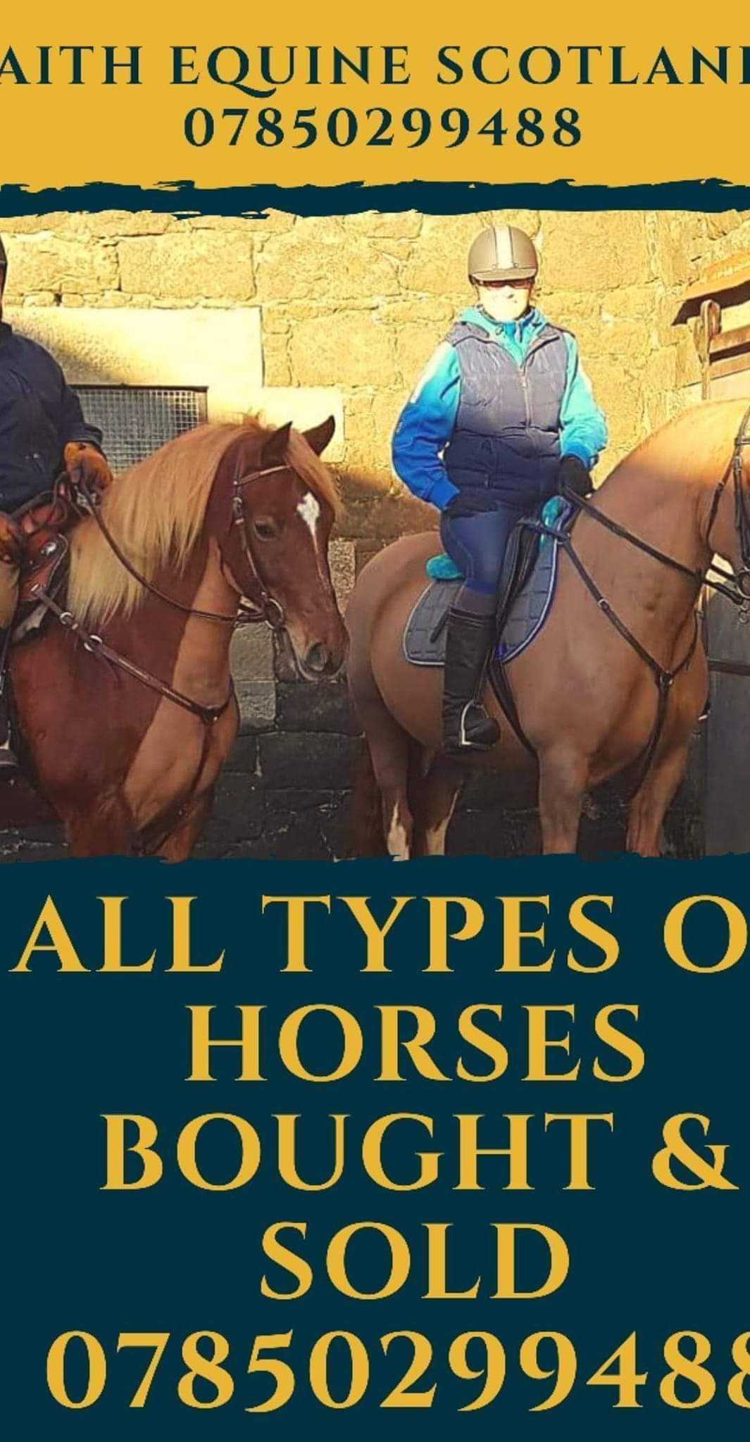 William Lowther 5th Generation Horse Dealer