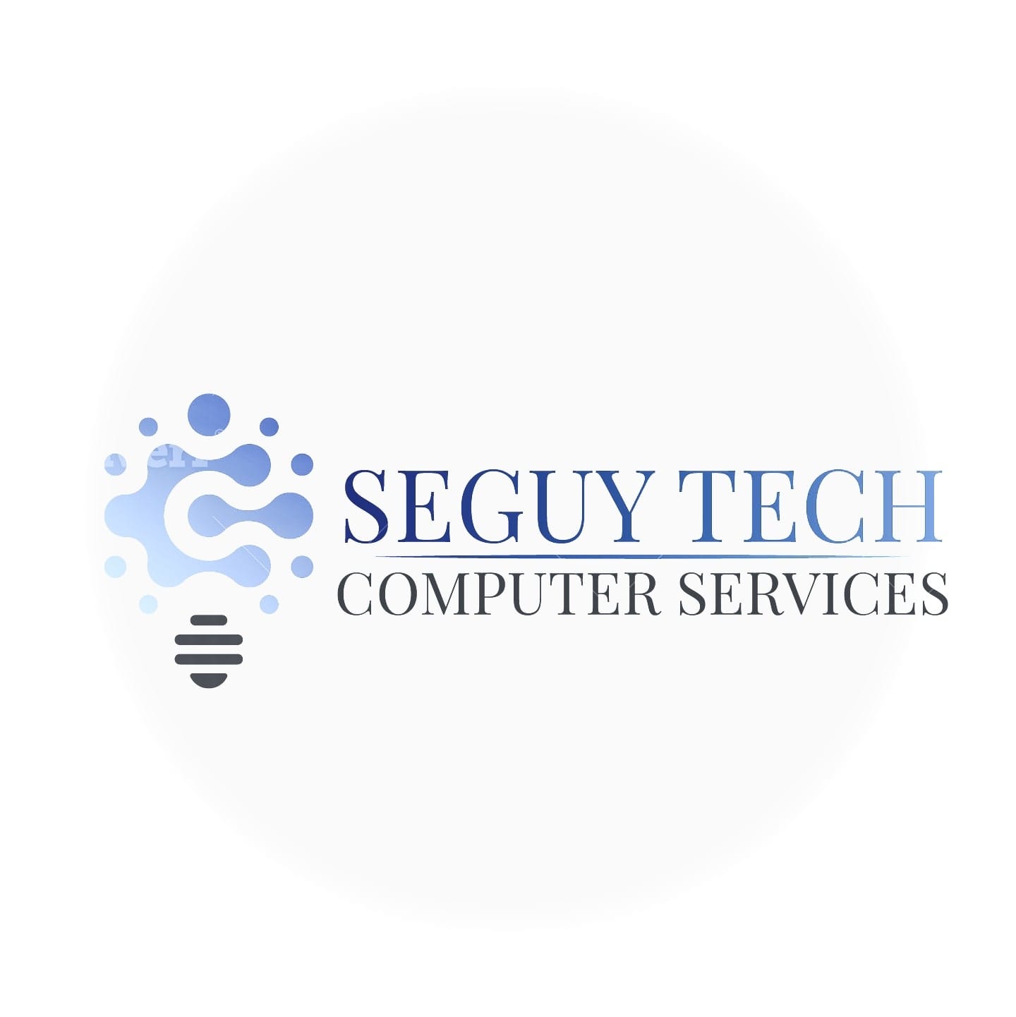 Seguy Tech Computer Services Rancho Cucamonga