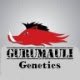 Gurumauli Genetics Pvt. Ltd.