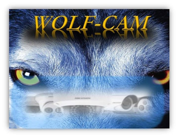 Wolfcam Seguridad Electrónica