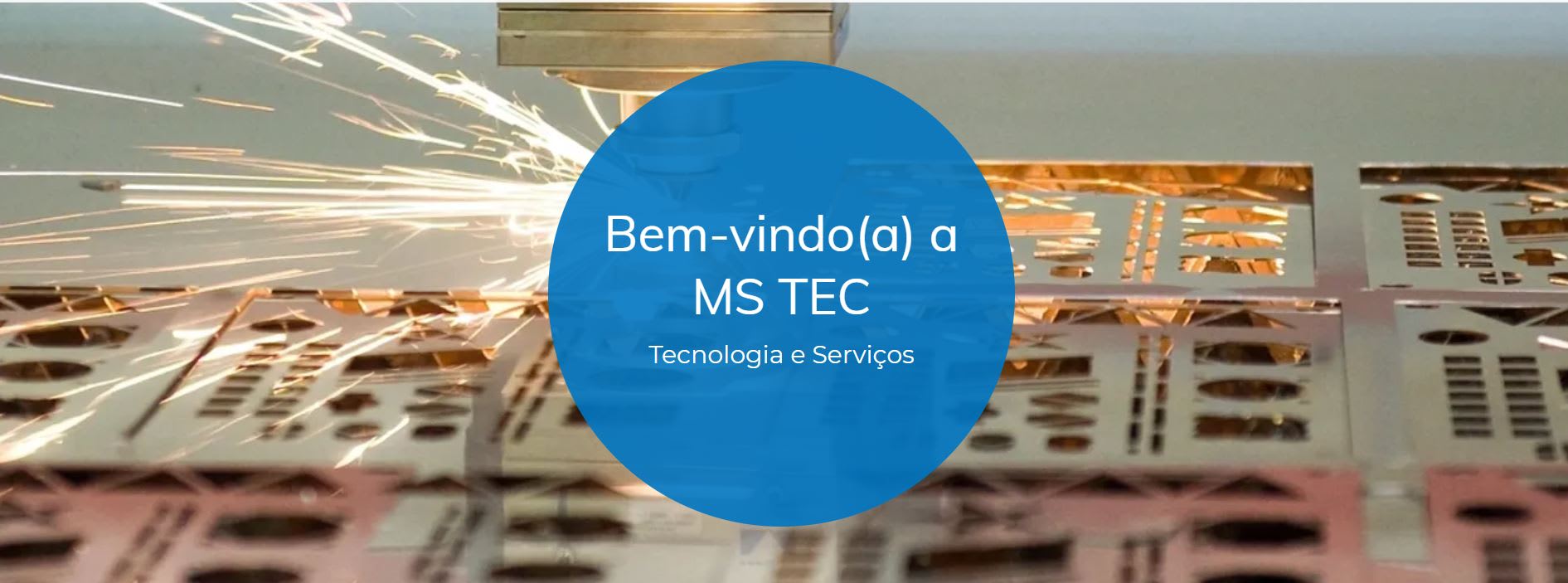 Ms Tec Tecnologia e Servicos