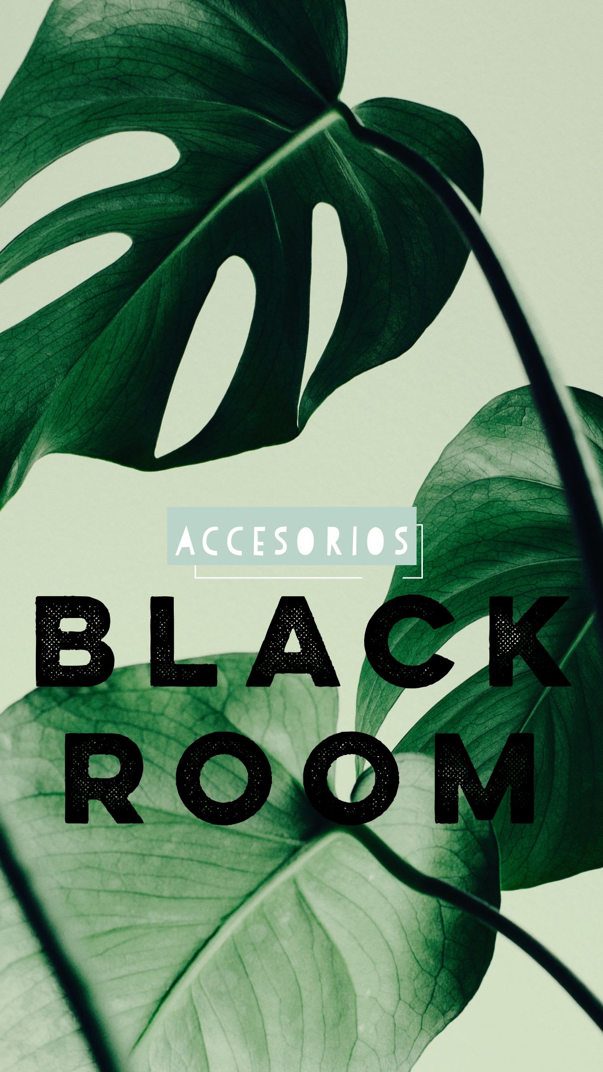 Black Room Accesorios