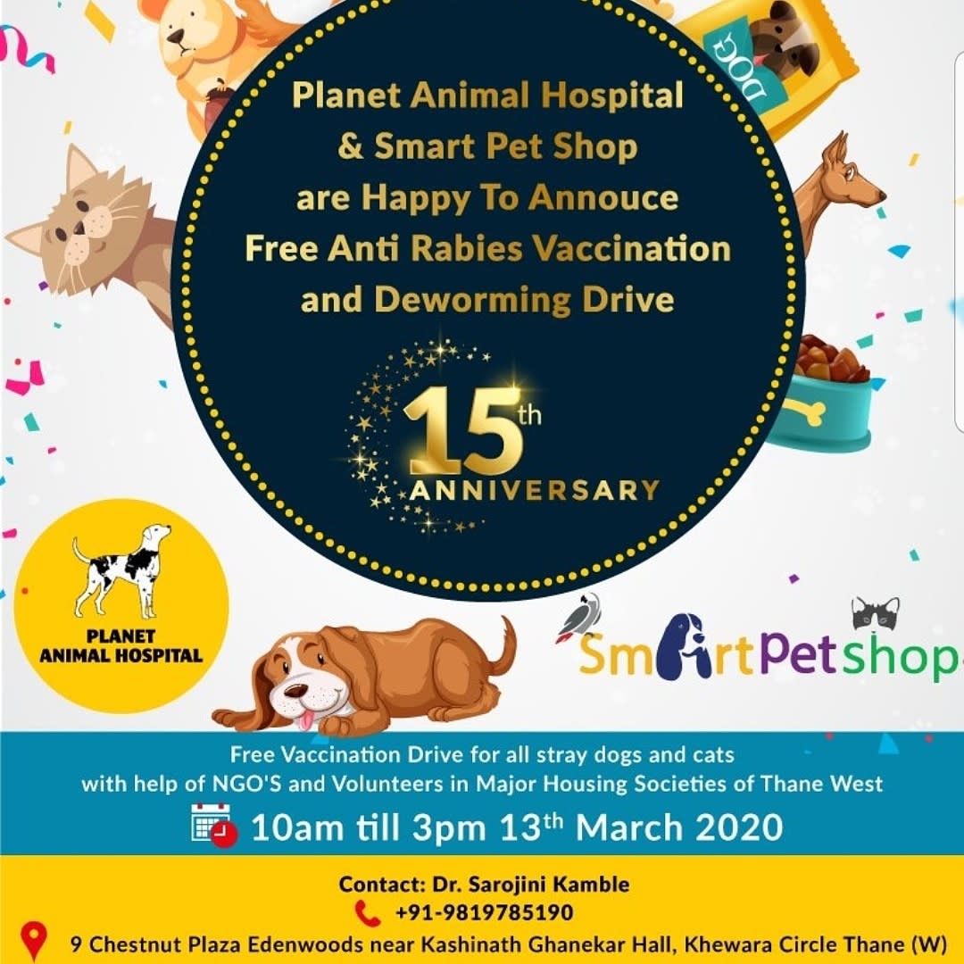 Cardiology - Animal Facilities - Planet Animal Hospital - Pet Clinic | Thane