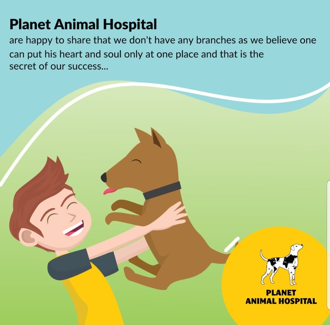 Cardiology - Animal Facilities - Planet Animal Hospital - Pet Clinic | Thane Cardiology - Animal Facilities - Planet Animal Hospital - Pet Clinic | Thane
