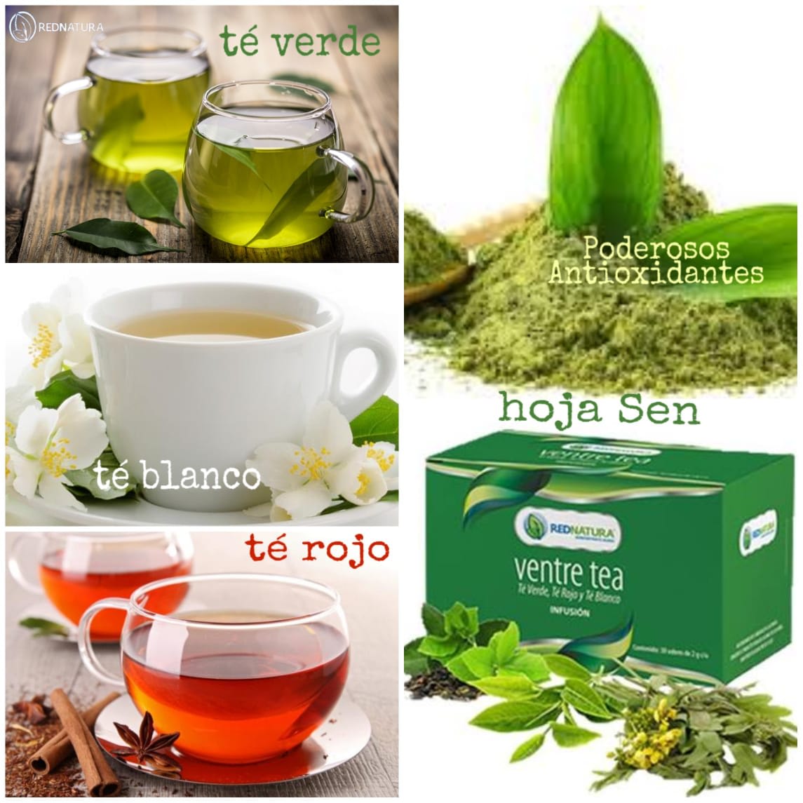 Té verde - Ofrecemos - Red Natura Elina | Herbolario en Puerto Cancun