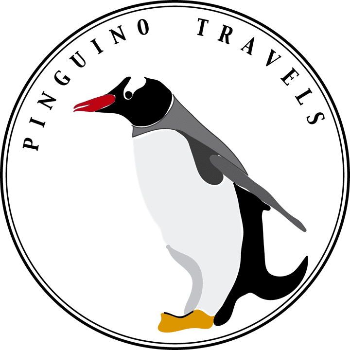 Pingüino Travels