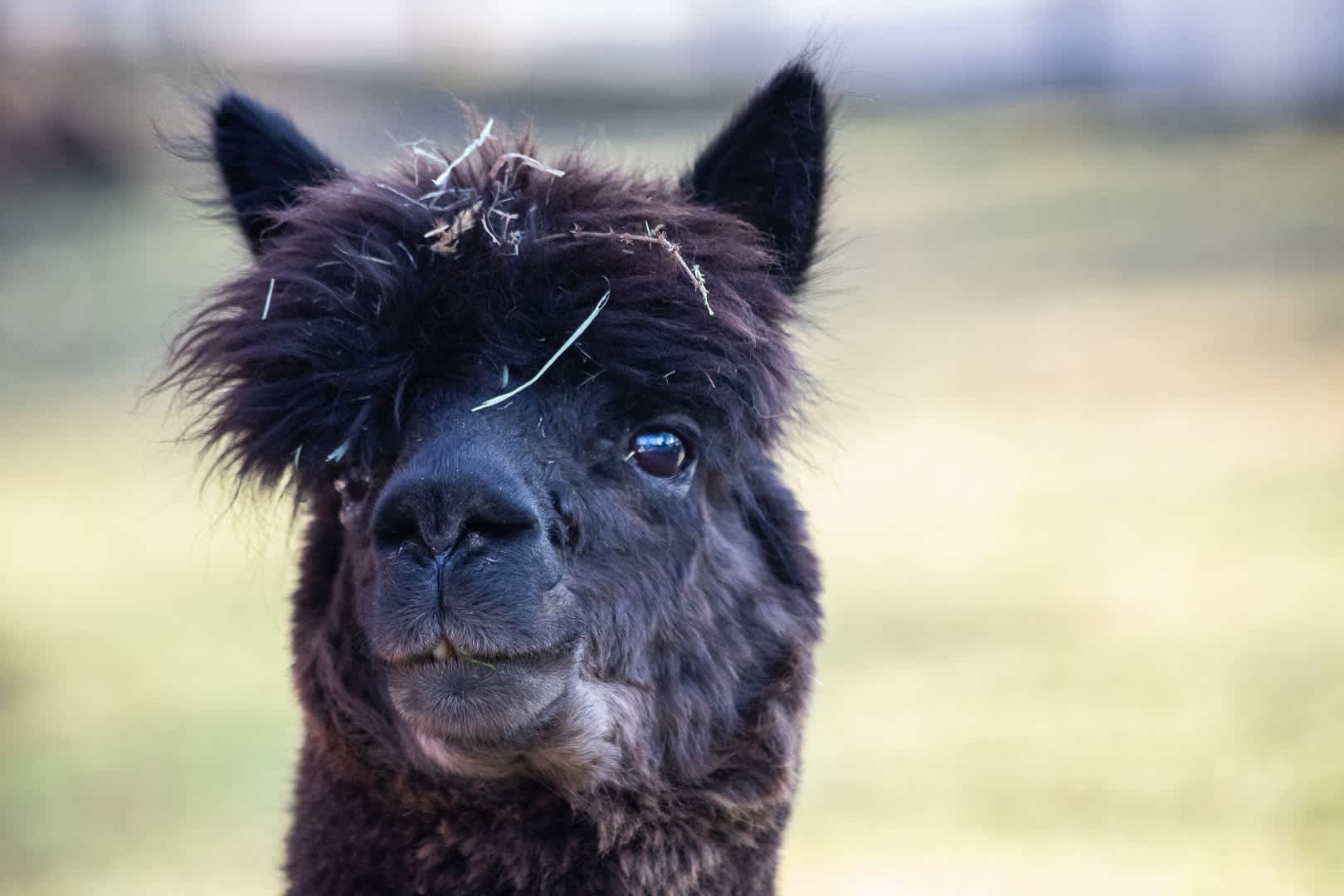 Most Beautiful Places Travel Tips for Dummies Help For Dummy Blog