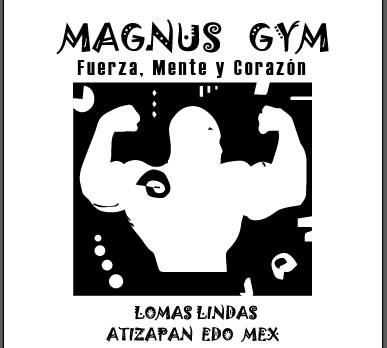Magnus Gym