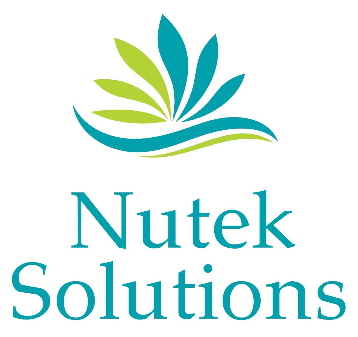 Nutek Solutions