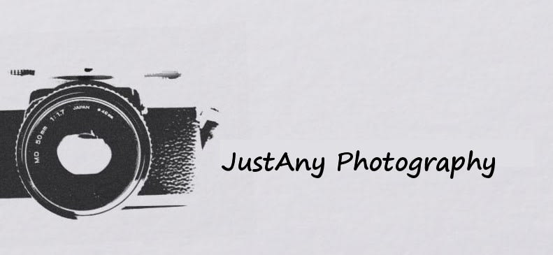 JustAny Photography