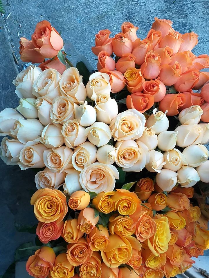 Venta de flores al mayoreo - Nuestros servicios - Bodega de Flores Millán |  Florería en Monterrey