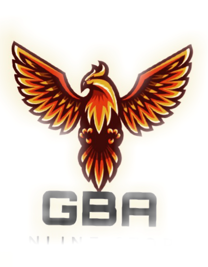 GBA Store