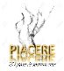 The Piacere