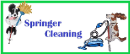 Springer Cleaning