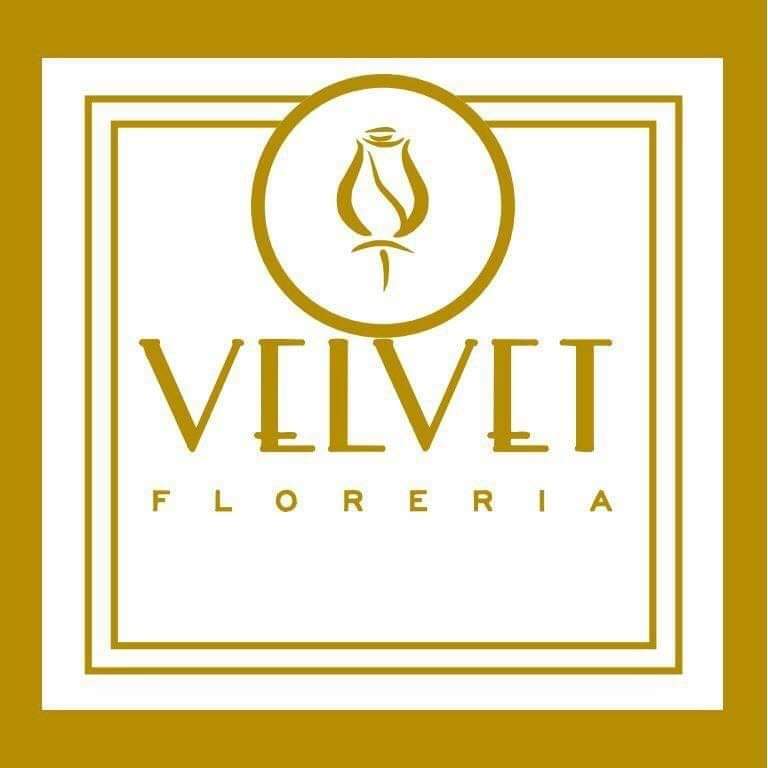 Velvet Florería