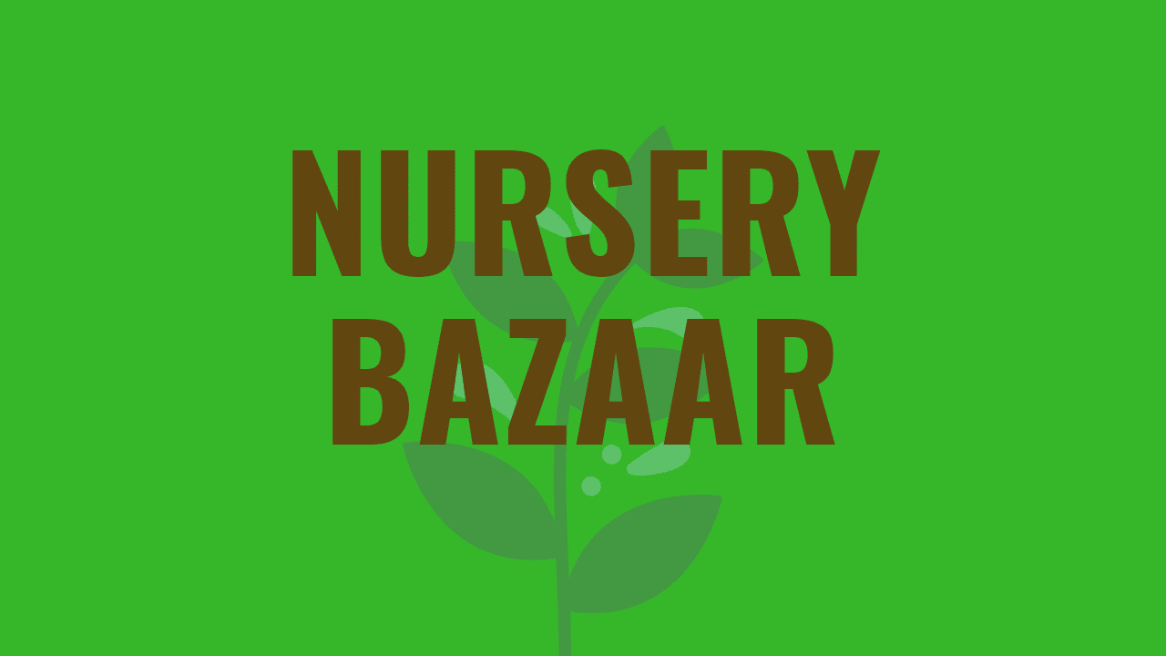 Nursery Bazaar