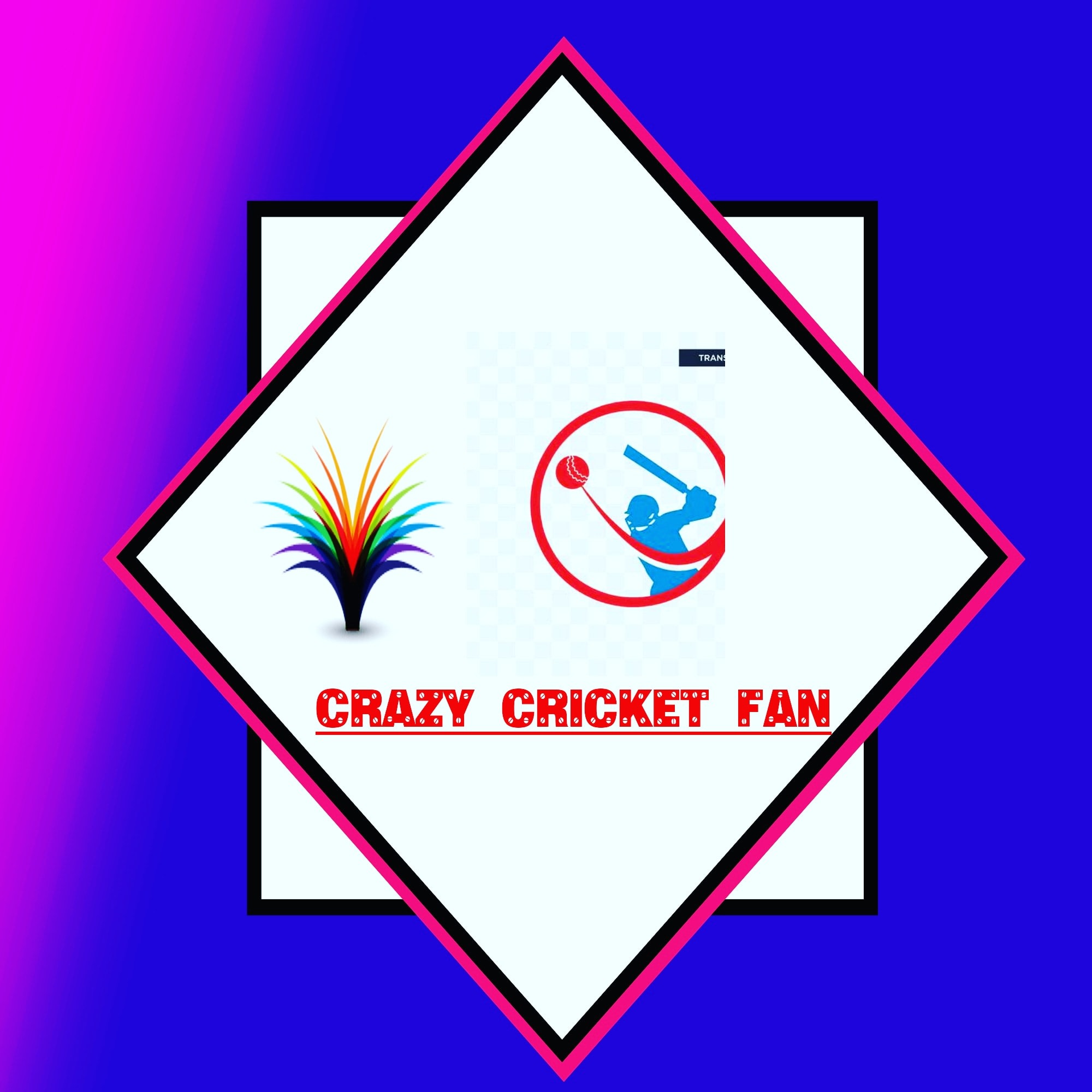 Crazy Cricket Fan