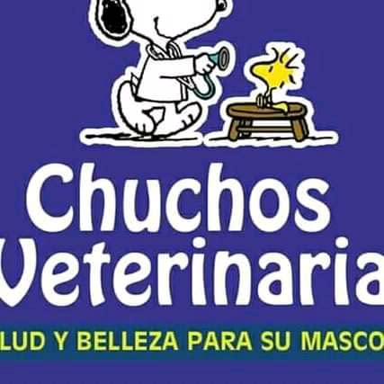 Chuchos Veterinaria