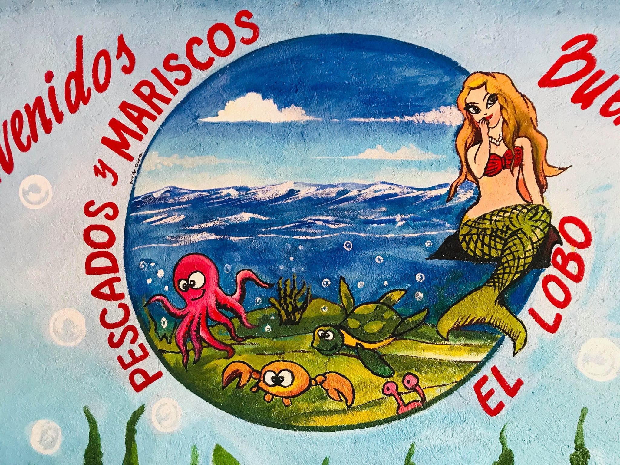 Mariscos el Lobo | Valle de Bravo