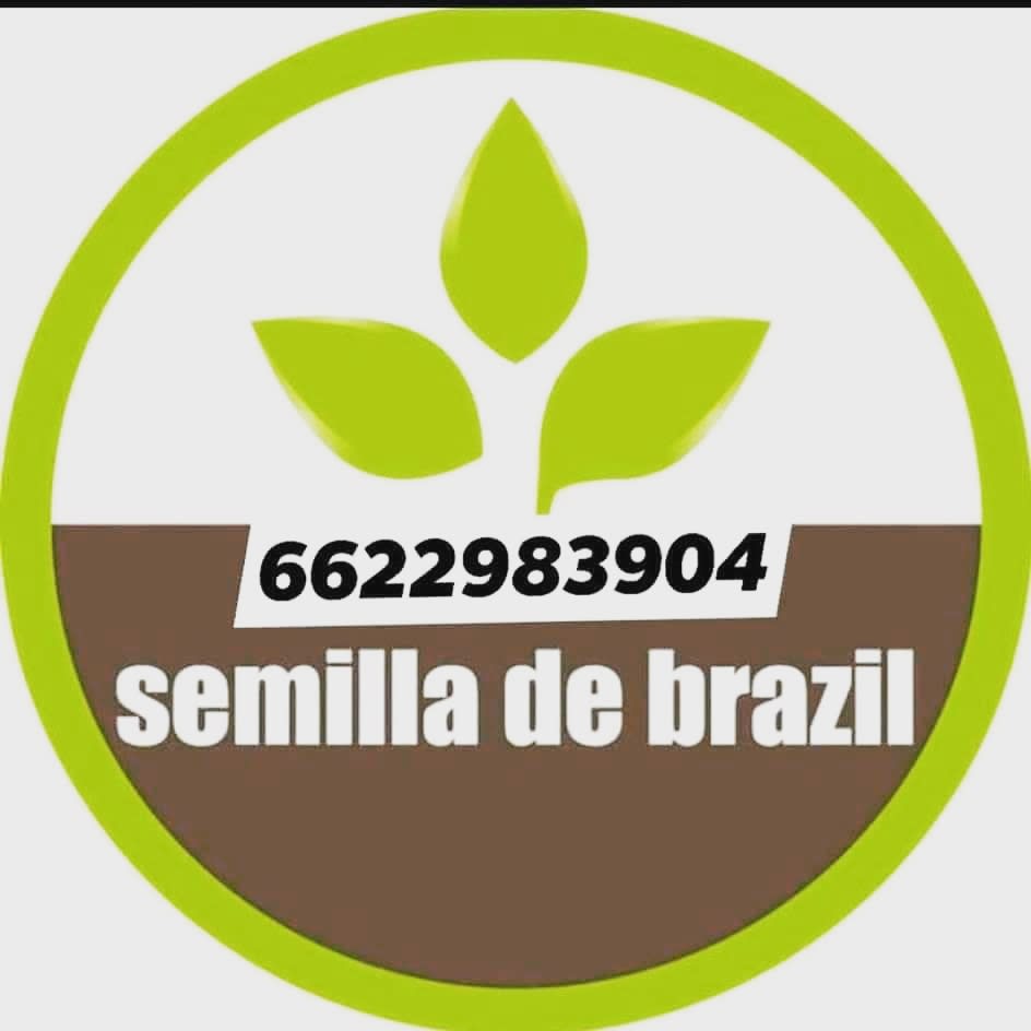 Semilla de Brasil
