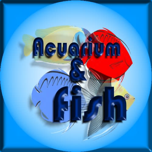 Acuarium & Fish
