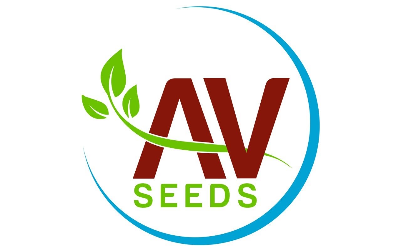 Archit Ventix Seeds