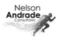 Nelson Andrade Consultoria