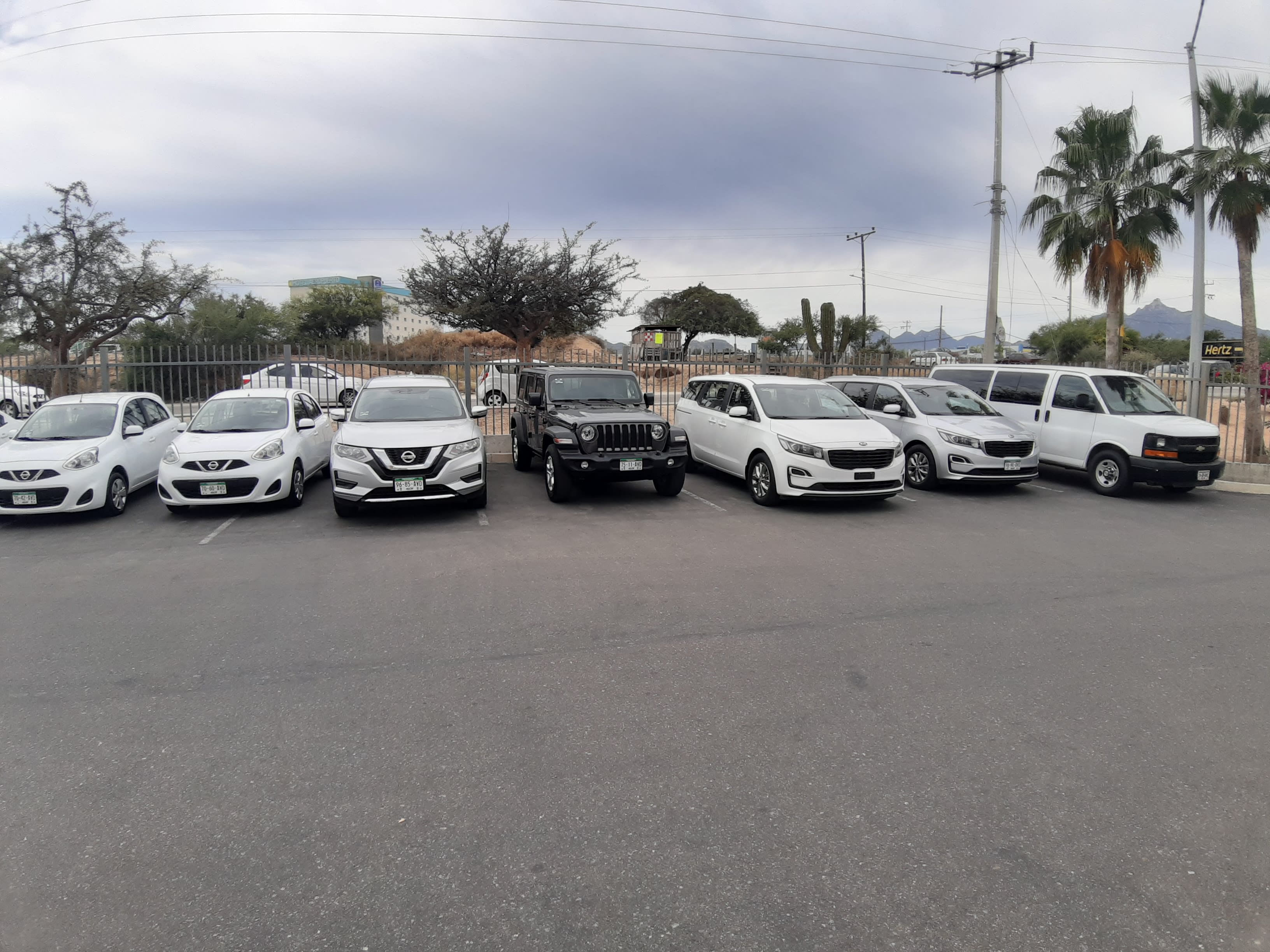 Introducir 69+ images telefono hertz los cabos aeropuerto Viaterra.mx