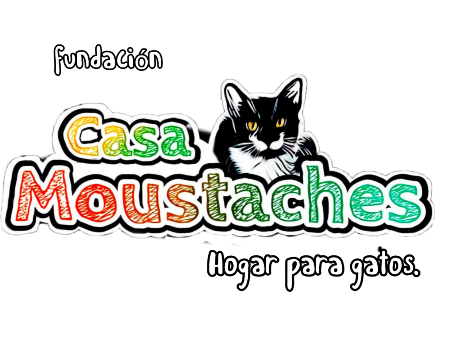 Casa moustaches