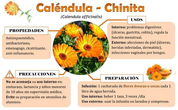 Curso masaje sueco - Terapias - Terapia Floral Heliantemo | Colotlán