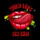 Wild Lips Sex Shop