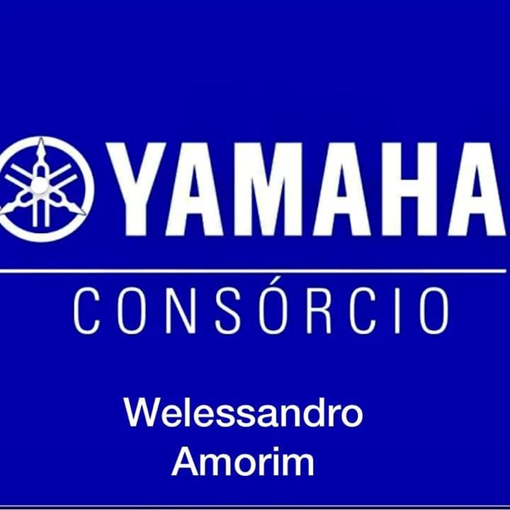 Welessandro Amorim Consultor de Vendas