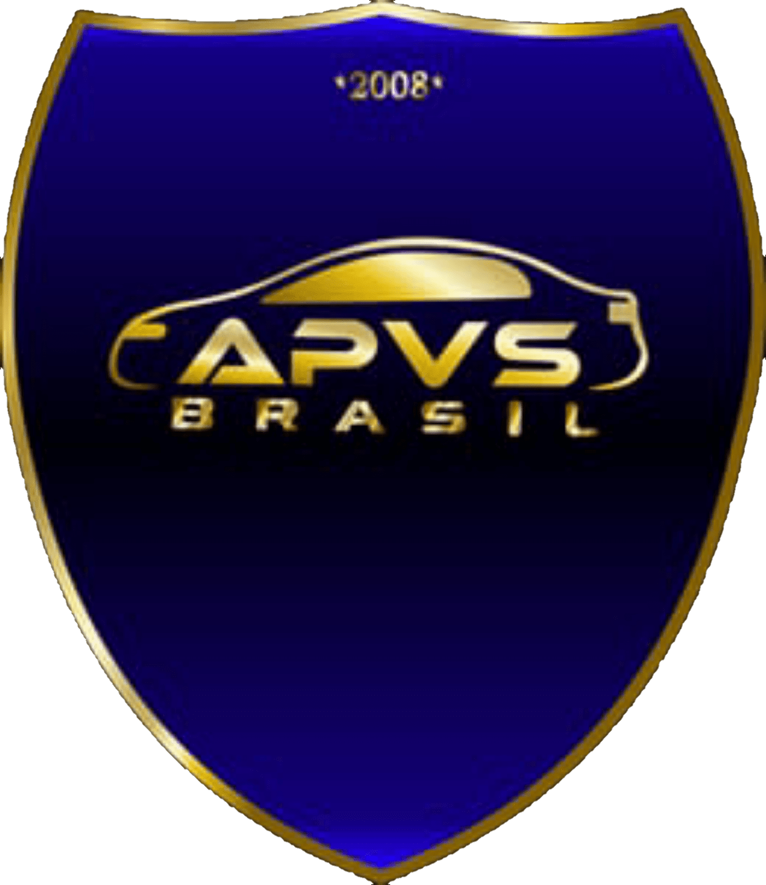 APVS Brasil