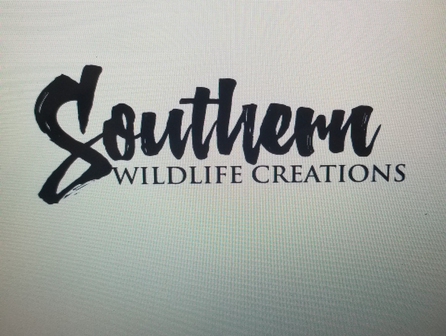 Southern Wildlife Creations