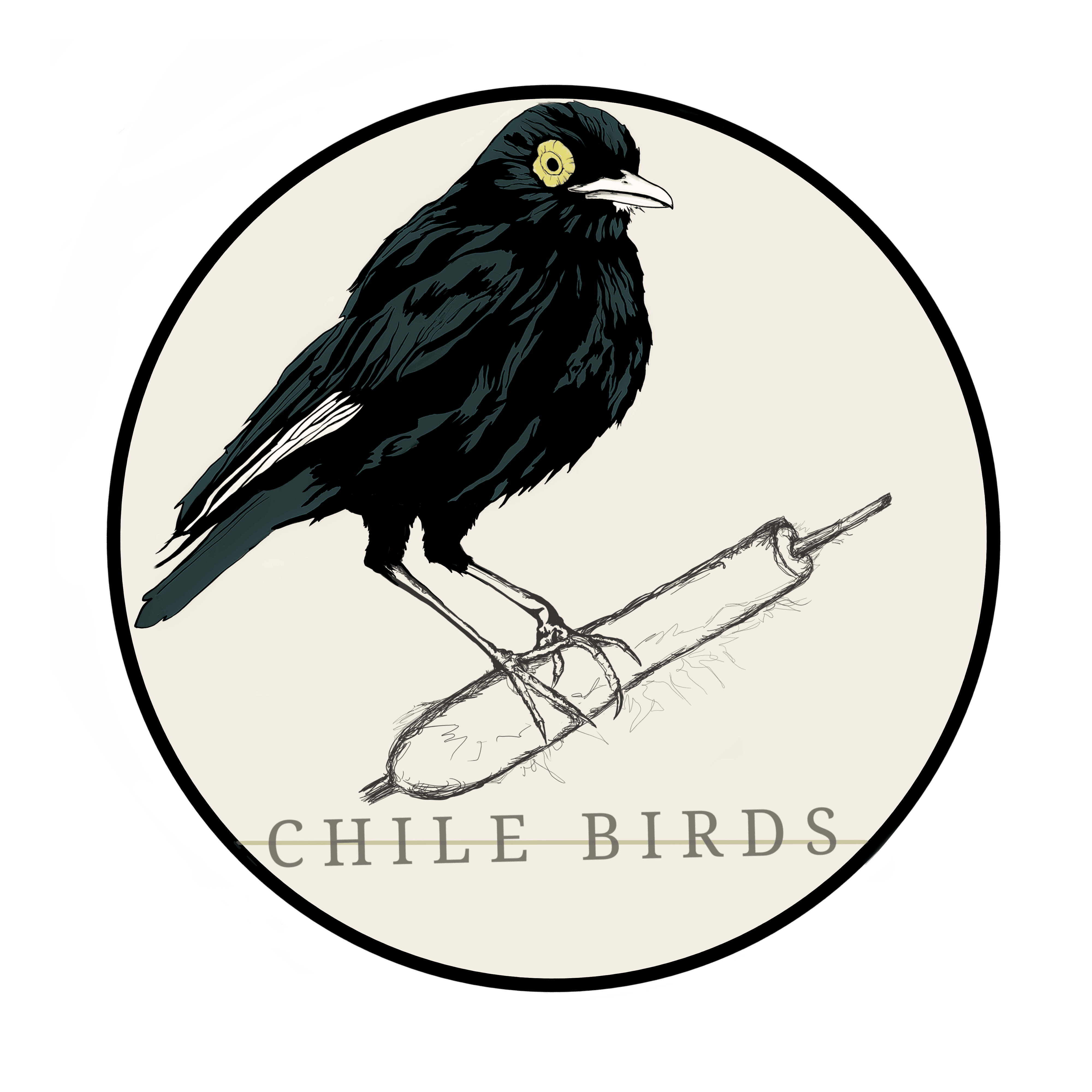 Chile Birds
