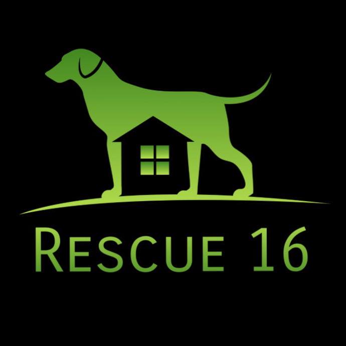 Rescue 16