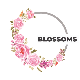 Blossoms Boutique