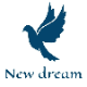 New Dream Business Point