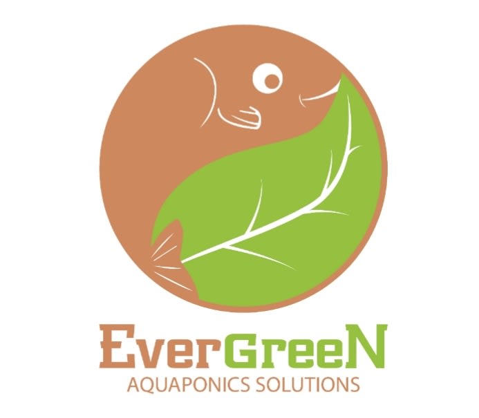 Evergreen Aquaponics