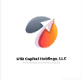 STB Capital Holdings