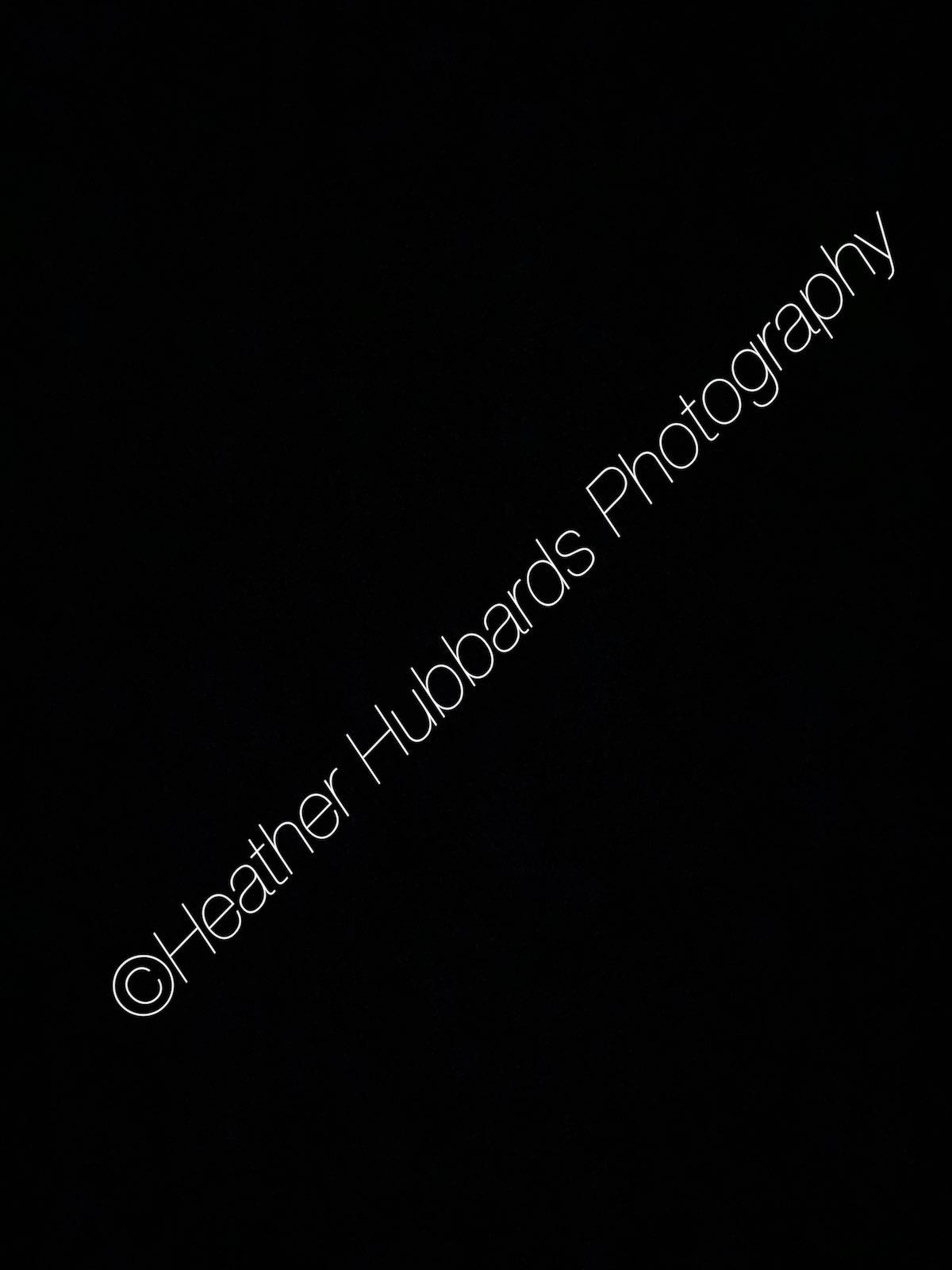 Heather Hubbard's Photography