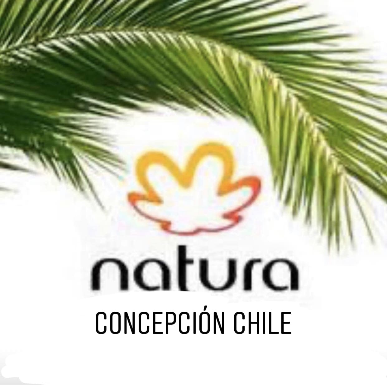 Natura Concepción Chile