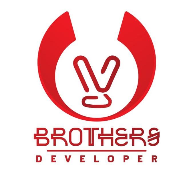 V Brothers Developer