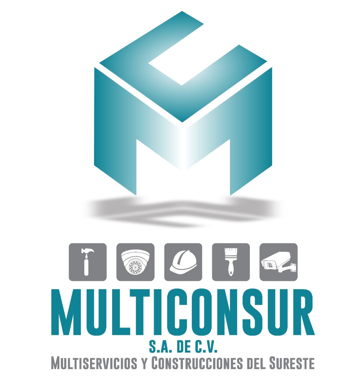 Multiconsur S.A. de C.V.