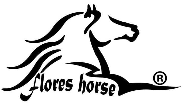 Flores Horse