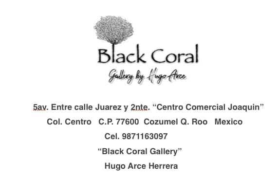 Black Coral Gallery