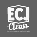 ECJ Clean